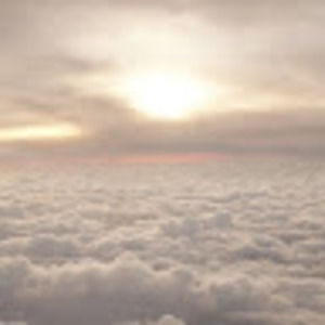 Meet your Posher, Maya